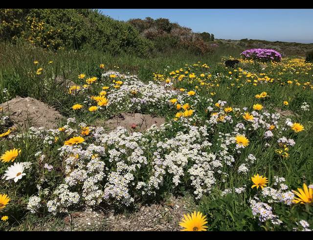 1,451HA VACANT LAND FOR SALE IN YZERFONTEIN RURAL